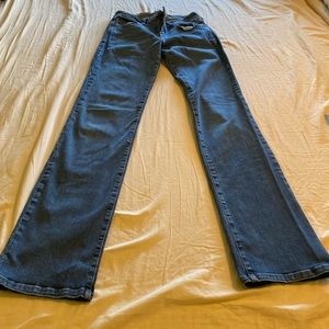 Fran Denim Size 29